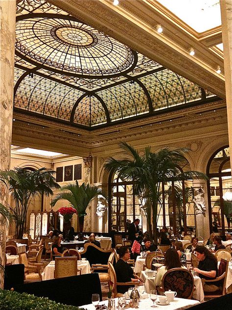 photo Palm Court Plaza, Palm Court Plaza Afternoon Tea, Restaurant Lighting Design, The Plaza Hotel Nyc, Palm Court, Luxxu Modern Design Living, Hotels Luxury, Nyc Travel, Party Hall