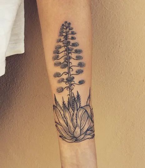 Agave Tattoo Meaning & Cool Designs - TattoosWin Agave Plant Tattoo, Erica Flower, Agave Tattoo, Pine Tattoo, Mum Tattoo, Tattoo 2023, Mom Daughter Tattoos, Magnolia Tattoo, Cool Half Sleeve Tattoos