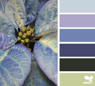 Dreamn4ever Designs Sage Green And Dark Blue, Dark Blue Color Palette, Design Seeds Color Palette, Sage Purple, Seeds Color, Purple Palette, Color Boards, Colour Theory, Palette Ideas