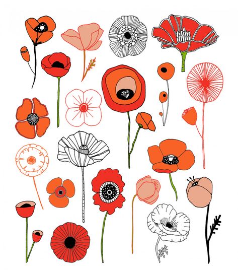 Penelope Tattoo, Poppy Tattoo Ideas, Doodles Flowers, Moon Jelly, Poppy Flower Tattoo, Plants Drawings, Poppy Tattoo, Roses Plants, Lisa Congdon