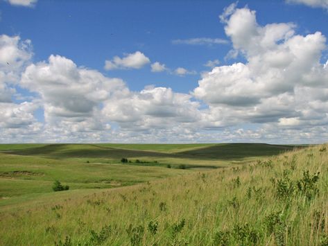 Kansas rolling grassy plains Summer Landscape Aesthetic, Environment Aesthetic, Kansas Landscape, Kansas Prairie, Day Landscape, Prairie Landscape, Landscape Pics, Plains Landscape, Landscape Field