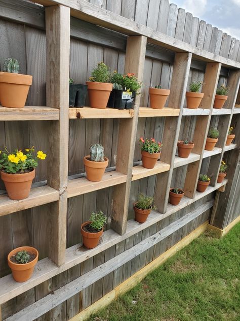 Garden Shelving, Suculentas Ideas, Backyard Creations, Shelving Ideas, Cedar Fence, Plant Ideas, Garden Plants, Garden Ideas, Fence