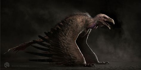 Bird Creature, All Mythical Creatures, Creature Ideas, J Park, San Gabriel, Monster Concept Art, Fantasy Monster, Creature Concept Art, Creature Concept