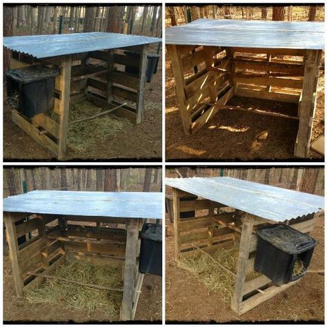 29 Pallet Chicken Coop Ideas (Weekend-Friendly) Diy Pallet Chicken Coop, Pallet Chicken Coop, Chicken Shelter, Pollo Tropical, Chicken Coop Plans Free, Cheap Chicken Coops, Chicken Coop Pallets, Easy Chicken Coop, Duck Coop