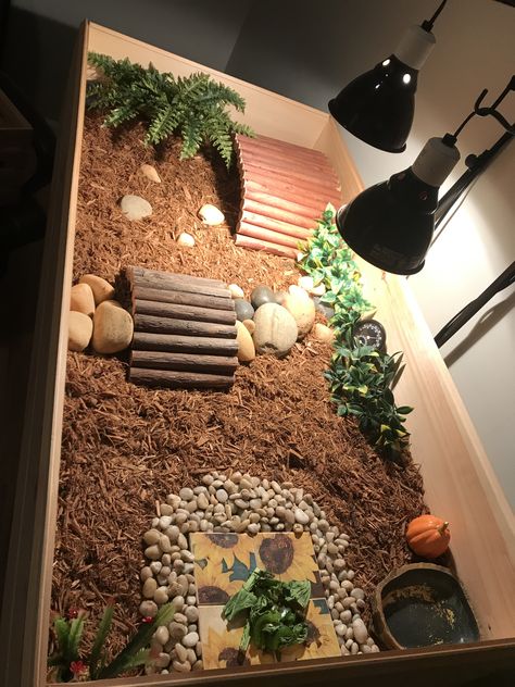 made for small russian tortoise Inside Tortoise Enclosure, Cherry Head Tortoise Enclosure, Turtle House Ideas, Russian Turtle Habitat, Tortoise Home Ideas, Tortoise Toys Diy, Egyptian Tortoise Enclosure, Small Tortoise Habitat Indoor, Small Tortoise Enclosure