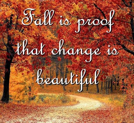 Change Is Beautiful, First Day Of Fall, Peace And Joy, A Best Friend, Autumn Quotes, A Fresh Start, Cozy Vibes, Fall Weather, Positive Words