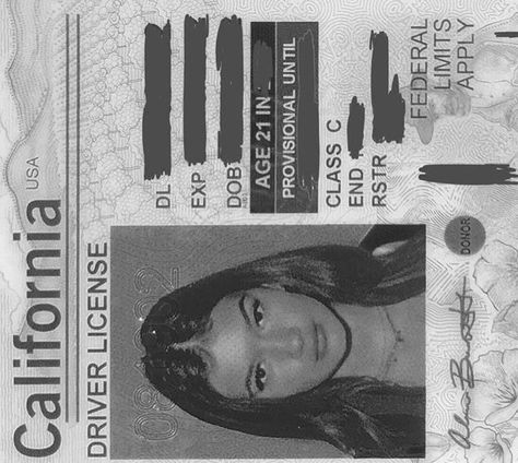 License Picture, Brazil Germany, Lexi Jayde, Passport Pictures, Passport Photo, Id Photo, Aesthetic Template, Insta Photo Ideas, Mug Shots