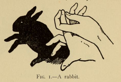 Fig 1 Fig 2 Tattoo, Vintage Rabbit Illustration, Fig Art, Rabbit Aesthetic, Rabbit Home, Rabbit Illustration, Arte Punk, Antique Illustration, Arte Inspo