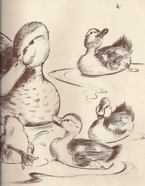 Litle Draw Ideas, Ducklings Illustration, Ducklings Drawing, Make Way For Ducklings Tattoo, Duckling Sketch, Drawings Of Ducks, Duck And Ducklings Tattoo, Duckling Drawing, Duckling Tattoo