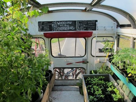 Mobile Home Greenhouse, School Bus Greenhouse, Mobile Greenhouse Trailer, Greenhouse Trailer, Bus Greenhouse, Mobile Plant Shop, Mobile Greenhouse, Mobile Gardening, Rv Garden