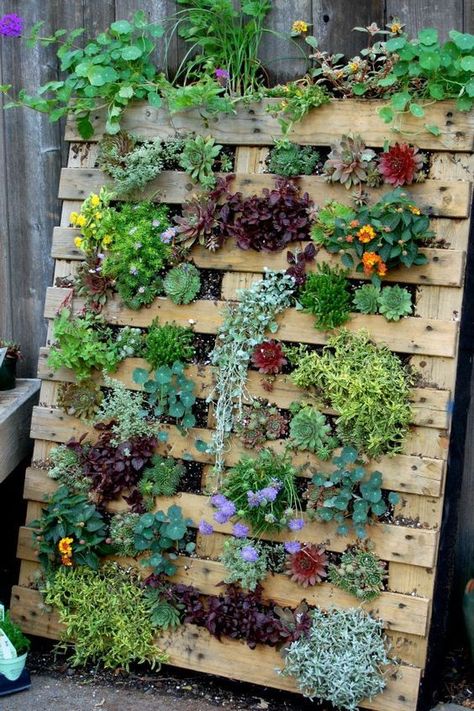 This amazing tutorial of how to build a vertical garden using wood pallets is truly one of the best I have ever seen with it's detailed instructions and ph Pallet Gardens, Obelisk Ideas, Palette Garden, Garden Obelisk, Vertical Garden Diy, Pallet Planter, Pallet Project, Garden Stand, Recycled Pallet