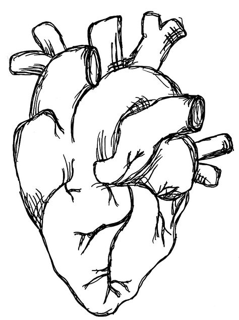 Human Heart Drawing, Gel Pen Drawings, Heart Drawing, Human Heart, Pen Art, Pen Drawing, Gel Pens, Cute Drawings, Art Reference