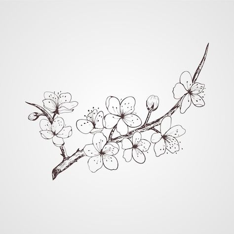 Anime Cherry Blossom Tattoo, Japanese Cherry Blossom Sketch, Sakura Branch Drawing, How To Draw Sakura, Cherry Blossom Tattoo Drawing, Black And White Cherry Blossom Tattoo, Sakura Branch Tattoo, Cherry Blossom Branch Drawing, Sakura Flower Drawing