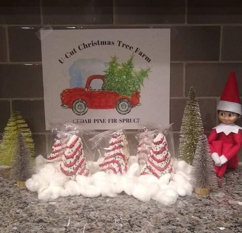 Elf On The Shelf Tree Farm, Elf On The Shelf Christmas Tree Farm, Elf Tree Farm, Elf Selling Christmas Trees, Elf Christmas Tree Farm, Elf On The Shelf Mini Christmas Tree, Raz Elf Christmas Tree, Elf Trees For Sale, Elf Tree