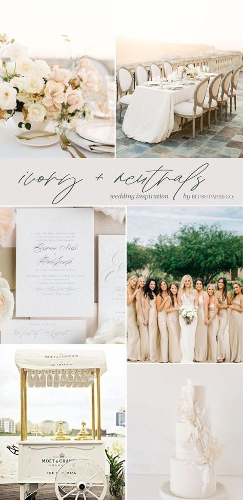 2024 Wedding Color Trends, Champagne Wedding Theme Color Schemes, 2024 Wedding Trends Color Schemes, Champagne Wedding Theme, Neutral Wedding Color Schemes, White Spring Wedding, Champagne Wedding Themes, Top Wedding Colors, Elegant Wedding Colors