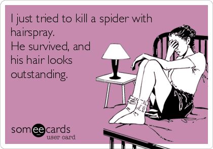 Funny Ecard: I just tried to kill a spider with hairspray. He survived, and his hair looks outstanding. Clipuri Video, True Blood, E Card, Ecards Funny, Laughter Is The Best Medicine, Made Me Laugh, Jamberry, Someecards, Laugh Out Loud