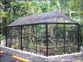 Outdoor Aviary Ideas, Indoor Aviary Ideas, Bird Aviary Ideas Outdoor, Garden Aviary, Bird Houses Ideas, Aviary Ideas, Wood Benches, Pet Bird Cage, Large Bird Cages