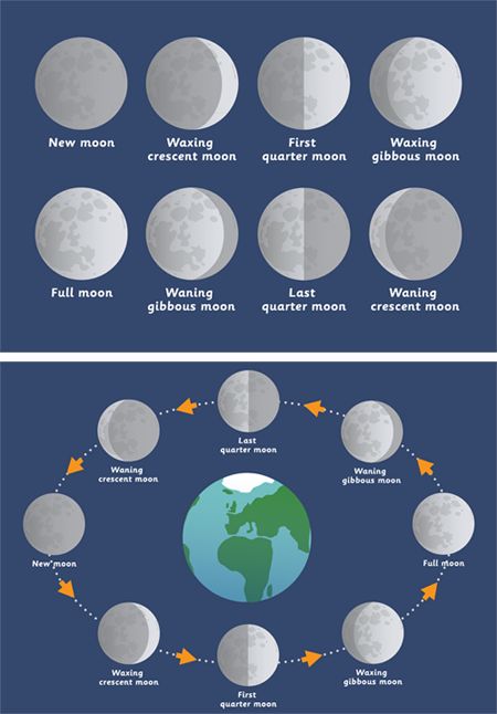 Early Learning Resources Phases of the Moon Posters 8 Phases Of The Moon, Moon Phases Activities, Moon Posters, Early Years Teaching, Visual Timetable, Forest School Activities, Moon Photos, Primary Resources, Phases Of The Moon