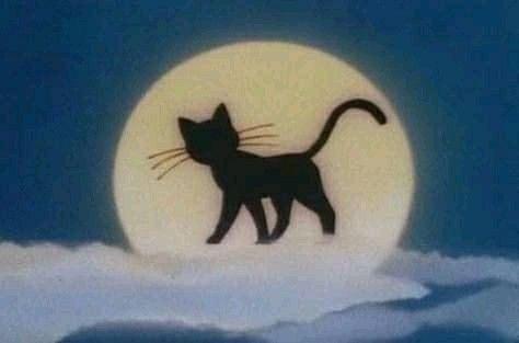 Sailor Moon Aesthetic, Moon Aesthetic, A Black Cat, 90s Anime, Playlist Covers, Anime Aesthetic, Sailor Moon, Aesthetic Anime, Black Cat