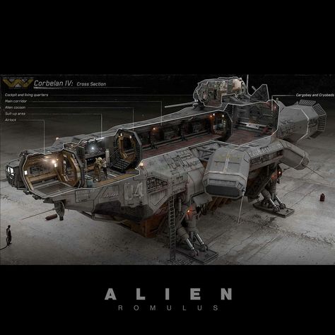 Matthew Savage | Alien Romulus: Developing the design of the exterior ship and the interior spaces was an intrinsic task and one of the things I enjoyed the… | Instagram Xenomorph Facehugger, Aliens Colonial Marines, Giger Alien, Atlantis The Lost Empire, Space Ships Concept, Alien Ship, Spaceship Interior, Star Wars Spaceships, Space Ship Concept Art