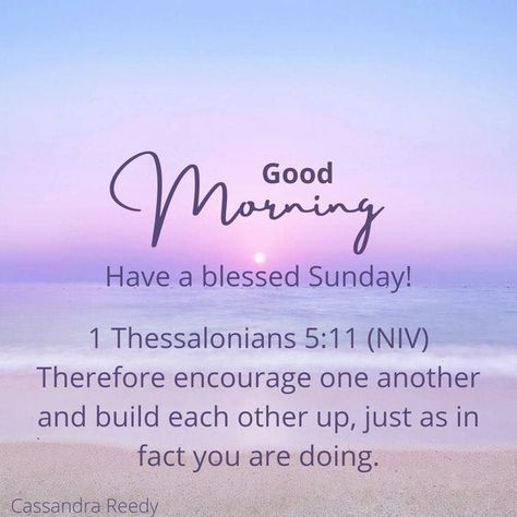 Sunday Morning Bible Verses, Sunday Bible Verse, Having Faith Quotes, Morning Verses, Blessed Sunday Quotes, Blessed Sunday Morning, Good Morning Scripture, A Blessed Sunday, Morning Scripture