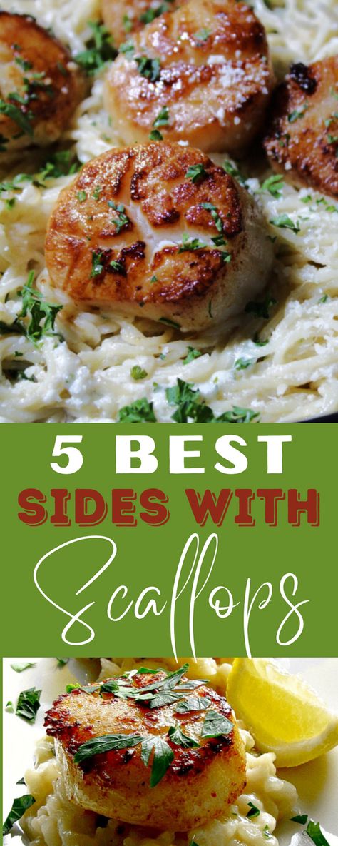 The answer to what to serve with scallops - best sides with scallops from pasta to risotto to vegetables that compliment your sea scallops for the ultimate seafood dinner. #scallops #whattoservewithscallops #sidedishesscallops #scallopssidedishes #bestsideswithscallops #seafoodsidedishes #bestsidesseafood #agoudalife Side Dishes For Scallops, Scallop Dinner, Scallop Recipes Healthy, Shrimp And Scallop Recipes, Easy Scallop Recipes, Creamy Garlic Mashed Potatoes, Scallop Pasta, Cucumber Salads, Spicy Seafood