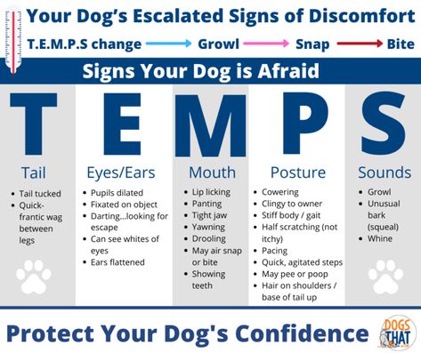 Know Your Dog's TEMP (Tail, Eyes/Ears, Mouth, Posture) | Susan Garrett's Dog Training Blog Susan Garrett Dog Training, Strong Dog Toys, Dog Emotions, Dog Growling, Puppy Room, Excited Dog, Medication For Dogs, Reactive Dog, Up Dog