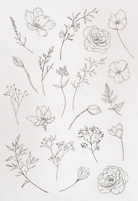 Botanical Leaves, Muse Art, Flower Sketches, Floral Drawing, Desenho Tattoo, 자수 디자인, Wedding Etsy, Simplistic Tattoos, Line Art Drawings