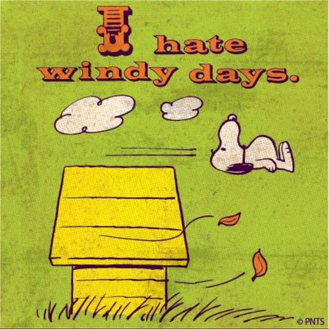 I hate windy days. 🌬 💨 Charles Shultz, Peanuts Quotes, Charlie Brown And Friends, Blowin' In The Wind, Brown And Friends, Snoopy And Charlie Brown, Peanut Gang, Snoopy Images, Peanuts Cartoon