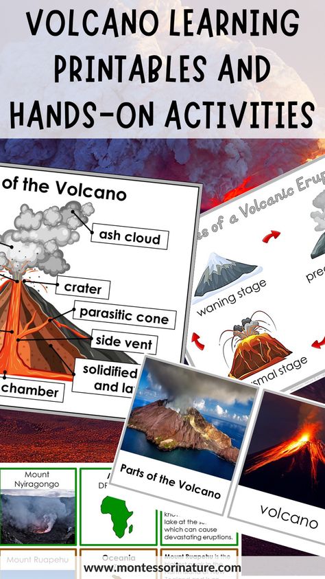 Introduce your young learners to the captivating world of volcanoes with these engaging Montessori volcano printables and hands-on science activities! Designed for preschool, kindergarten, and Grade 1 students, these resources include 3-part cards, information cards, student booklets, matching cards, and diagrams focused on the stages of volcanic eruption, types of volcanoes, and volcanoes of the continents. Volcano Learning Activities, Volcano Inquiry Kindergarten, Volcano Poster Project, Volcano Worksheet Preschool, Types Of Volcanoes, Volcano Printable Free, Volcano Activities For Kids, Volcano Worksheets For Kids, Volcano Unit Study