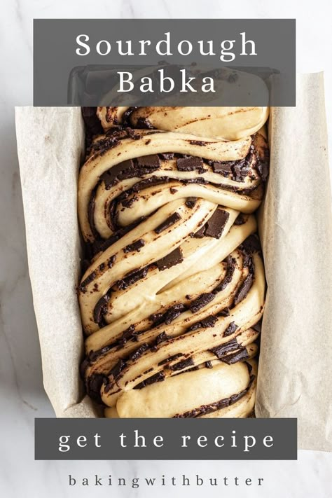 unbaked chocolate babka in a tin Sourdough Babka, Farmhouse On Boone, Babka Recipe, Sourdough Starter Discard Recipe, Chocolate Babka, Homemade Sourdough Bread, Sourdough Starter Recipe, Brioche Bread, Sourdough Baking