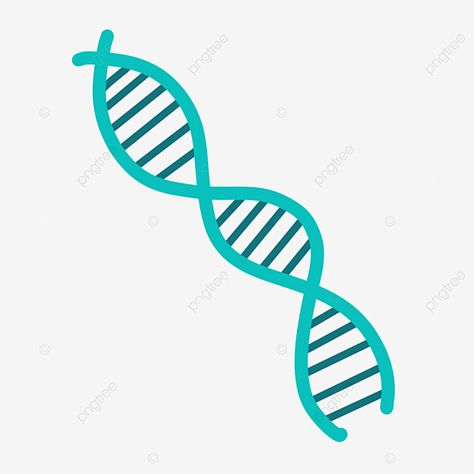 green,cartoon,gene,sequence,clipart,dna,hand draw,art clipart,cartoon clipart,dna clipart,green clipart,clip clipart,biology,science,chemistry,microscopic,medicine,medical,research,scientific,technology,molecule,chromosome,molecular,background,spiral,bio,microbiology,helix,structure,health,biotechnology,evolution,life,biochemistry,abstract,atom,model,cell,organic,strand,glowing,symbol,isolated,clone,graphic,3d,design,genome,code,stem,education,illustration,element,chemical,genetic,human,test,mic Dna Cartoon Art, Dna Cartoon, Chemical Drawing, Dna Clipart, Microscope Design, Atom Model, Education Illustration, Green Cartoon, Biology Science