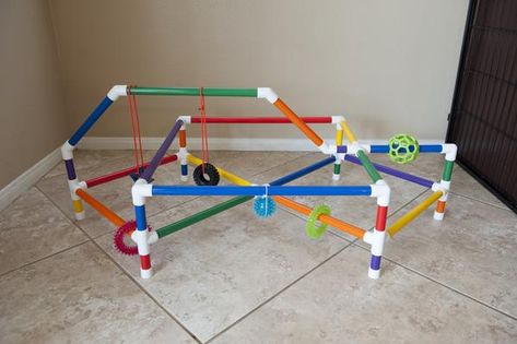 Puppy Play Gym, Diy Baby Gym, Puppy Development, Puppy Playpen, Puppy Litter, Dog Playground, Puppy House, Dog Enrichment, Best Puppies