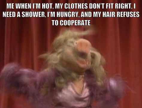 Muppet Memes Dark, Funny Muppets Memes, Muppet Memes Hilarious, Muppet Meme, Muppets Quotes, Funny Muppets, Muppets Funny, Beaker Muppets, Womp Womp