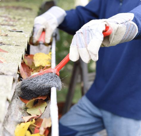 Would you rather clean your gutters now or pay the price later? Though gutter cleaning isn’t the most exciting task, it’s still essential. You can successfully clean your gutters or deal with consequences like unwanted pests or a basement flood. Although the choice is yours, you can save time and money by completing this routine maintenance. Gutter Leaf Guard, Leaf Guard, Flooded Basement, Water Damage Repair, How To Install Gutters, Gutter Cleaning, Gutter Guard, Rain Gutters, Cleaning Gutters