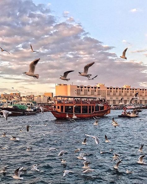 visit.dubaiFeel the rush that the breathtaking scenery will give you as you take a ride on the traditional Abra, with views of a world where old meets new, where nature, history and the future all fuse to create a magical setting at #DubaiCreek. Today's #VisitDubai #travelgram is courtesy of @boyintsik Dubai Creek, Dubai Desert Safari, Desert Safari Dubai, Spring Camping, Dubai Tour, Ferrari World, Dubai Desert, Arabian Beauty, Visit Dubai