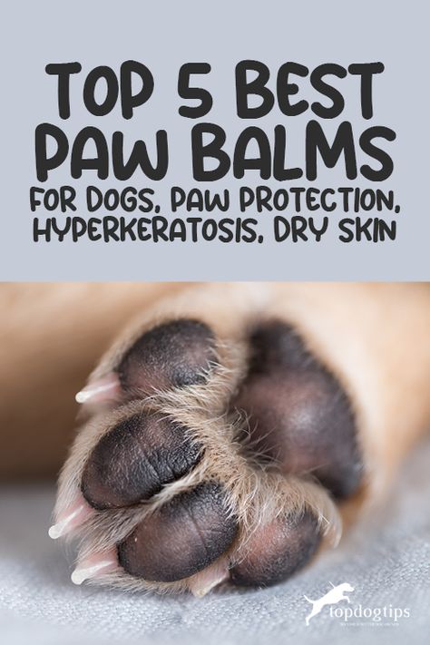 Paw Cream For Dogs Diy, Nose Balm For Dogs Diy, Diy Salves And Balms For Dogs, Dog Paw Moisturizer Diy, Paw Balm For Dogs Diy, How To Soften Dog Paw Pads, Dry Dog Paws, Dog Paw Salve, Dog Paw Cream