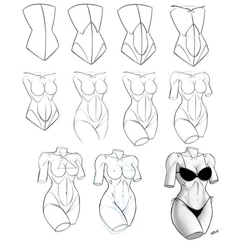 Human Anatomy Step By Step, How To Draw Female Torso Step By Step, Body Anatomy Drawing Study Female, Art Reference Tutorials, How To Figure Draw, How To Draw Torso Female, How To Draw A Female Body Step By Step, Female Torso Drawing, Anatomy Step By Step