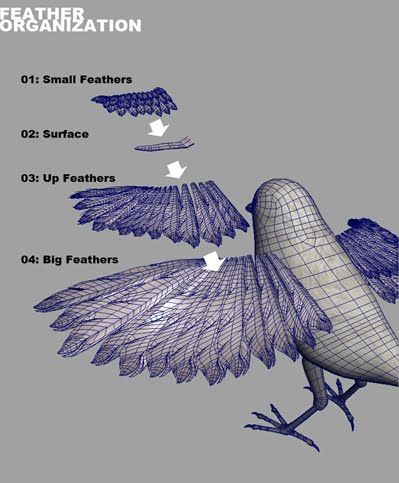 Bird Rigging/ Feather script (maya, mel script) Maya Bird, Graphic Design Newspaper, Zbrush Tutorial, Learn Design, Graphic Design School, 3d Modeling Tutorial, Graphic Design Cards, Airport Design, 3d Animals