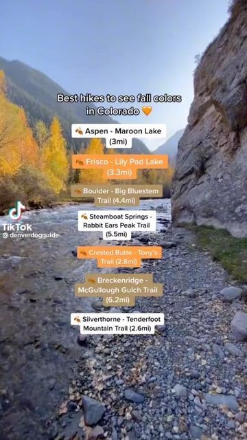 Event Nerdz Rewards on Instagram: "@denverdogguide came up with a list of the best hikes to see fall colors in Colorado!🍂 Which hike is your favorite?👇🏼 ❤️ SAVE for your next getaway to #Denver! 👉🏽 SHARE with your hiking buddies! #fallincolorado #denverblogger #denverco #coloradohiking #hikingadventures #fall #coloradofall #coloradotrail #coloradogram #fallcolors #coloradoadventures #coloradoactivities #coloradohiking #travelcolorado #giveaway #giveawaycontest #traveltips #traveladdict #ent Fall Hikes Colorado, Denver Itinerary Fall, Hikes Near Denver Colorado, Colorado Activities, Crested Butte Colorado Fall, Colorado Self Solemnization, Steamboat Colorado, Colorado Trail, Colorado Fall