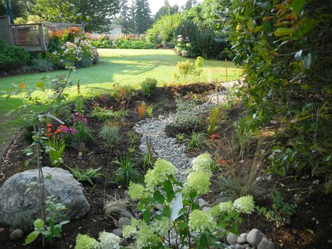 Residential Rain Garden Residential Rain Garden, Rain Garden Design, Green Infrastructure, Rain Gardens, Naturalistic Garden, Container Garden Design, Planting Design, Garden Inspo, Tiny House Community