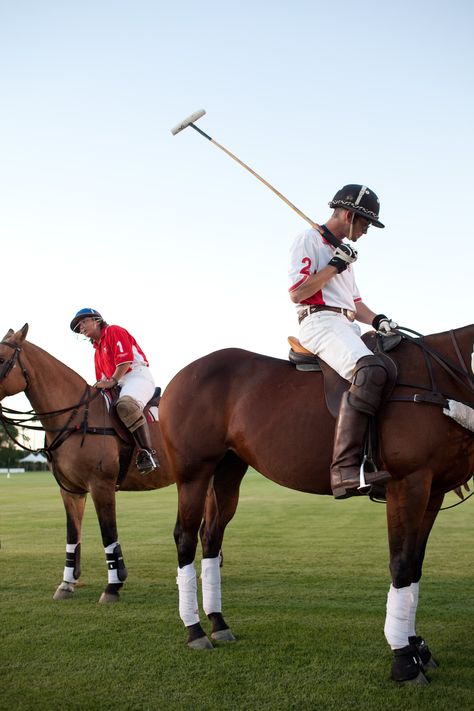 Polo Game Aesthetic, Polo Game, Belgium Style, Men's Equestrian, Horse Polo, Horsey Life, Horse Club, Polo Horse, Horse Games