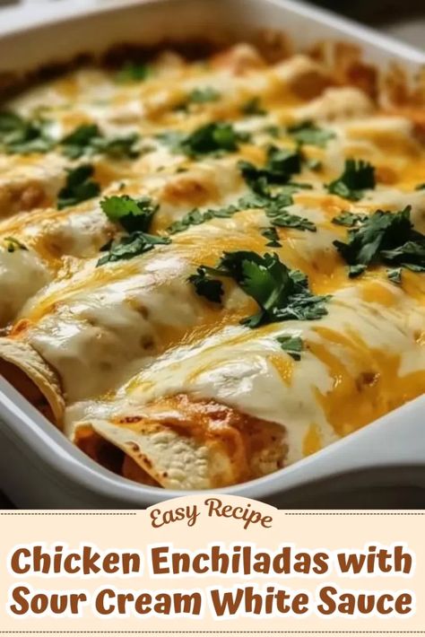 Joanna Gaines Sour Cream Enchiladas, Chicken Enchiladas With Sour Cream White, Easy Chicken Enchilada Recipe Sour Cream White Sauce, Easy Sour Cream Sauce For Enchiladas, Chicken Enchiladas With Sour Cream White Sauce, Chicken Enchiladas With Sour Cream Sauce, Easy Sour Cream Chicken Enchiladas, Chicken Enchiladas With White Sauce, Sourcream Chicken Enchiladas