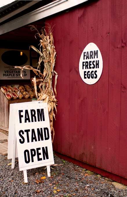 Fall Comes to Connecticut's Litchfield Hills Farm Stand Signs, Market Signage, Country Birthday Party, Standing Signage, Starting A Farm, Roadside Signs, Country Birthday, Storefront Signs, Farm Store