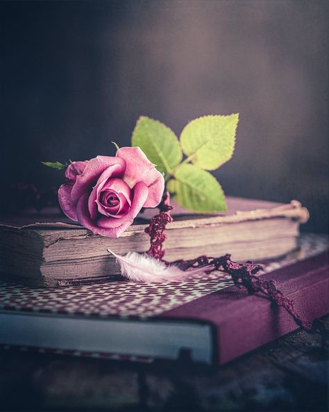 Flower Rose Aesthetic, Old Academia, Bookshelf Study, Tracker Notebook, Flower Power Art, Wallpapers Flowers, Vintage Reading, Bill Planner, Power Art