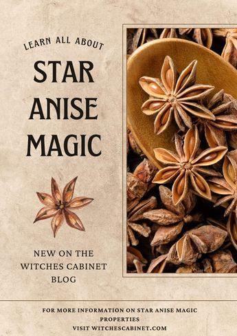 How to work with star anise magic properties in the kitchen and in ritual. Anise Magical Properties, How To Use Star Anise, Star Anise Magical Properties, Star Anise Recipes, Star Anise Benefits, Anise Recipes, Anise Candy, Sindhi Food, Kitchen Witchcraft