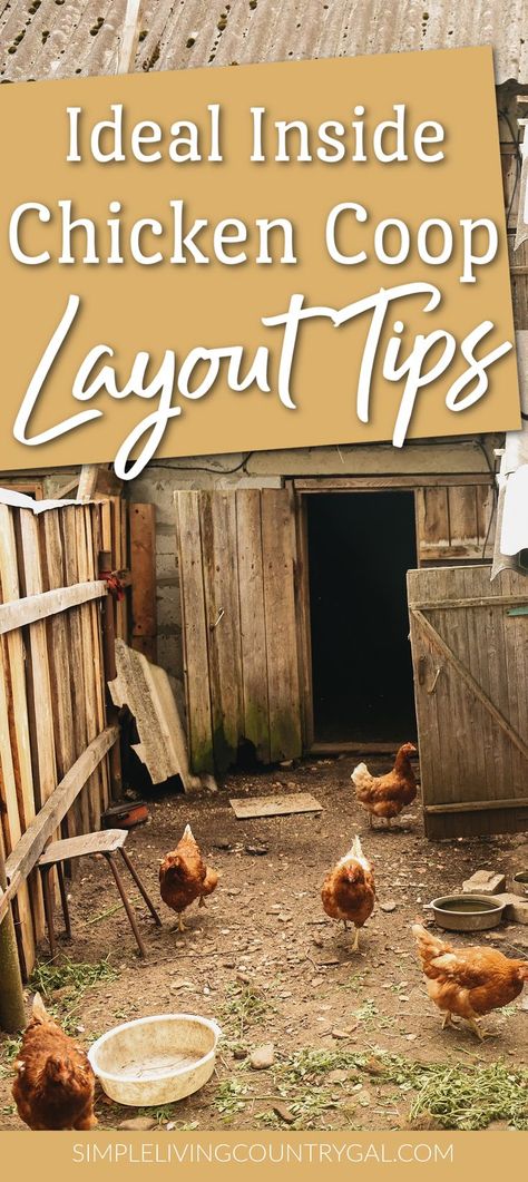 This easy guide on how to layout the inside of a chicken coop in a way that your flock will thrive in, as well as make it easy for you to maintain it. From food and water to laying eggs and protection. Get the reason why you need each component so you can choose the best area to locate it inside the coop. L Shaped Chicken Coop And Run, Inside Coop Layout, Pallet Ideas For Chickens, Small Chicken Coop Layout Inside, Space Saving Chicken Coop, Inside Chicken Coops Ideas, How Much Room Do Chickens Need, Water In Chicken Coop, Coop Set Up