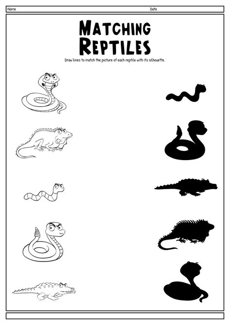 Rainforest Animal Activities, Reptile Kindergarten Activities, Reptiles Worksheets For Preschool, Reptile Worksheets Free Printable, Reptiles Worksheets For Kindergarten, Reptiles Preschool Free Printables, Rainforest Worksheets Preschool, Reptile Worksheets Preschool, Reptiles Theme Preschool Activities