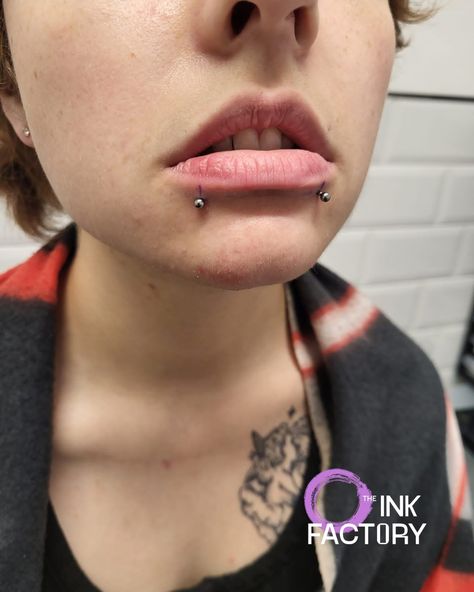 Double labret piercing done by @ashpiercer . This is your sign to book in for that piercing you have been thinking of! Do it! #TheInkFactory #DublinIreland #LabretPiercing #LipPiercing #Titanium #jewellery #SnakeBites #Piercer #IrishPiercer Snakebites, Labret Piercing, Lip Piercing, Jewellery Display, Ash