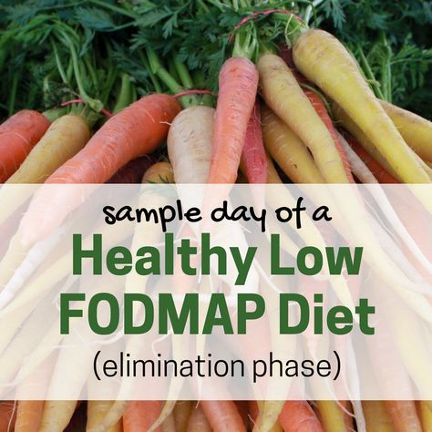 See an example of one day of a healthy low FODMAP diet during the elimination phase. Includes nutrition tips and lots of delicious recommended recipes. Low Fodmap Elimination Phase, Fodmap Elimination Phase, Low Fodmap Snacks, Fodmap Snacks, Low Fodmap Diet Recipes, Wall Paper Iphone, Ibs Diet, Fodmap Diet Recipes, Aip Diet